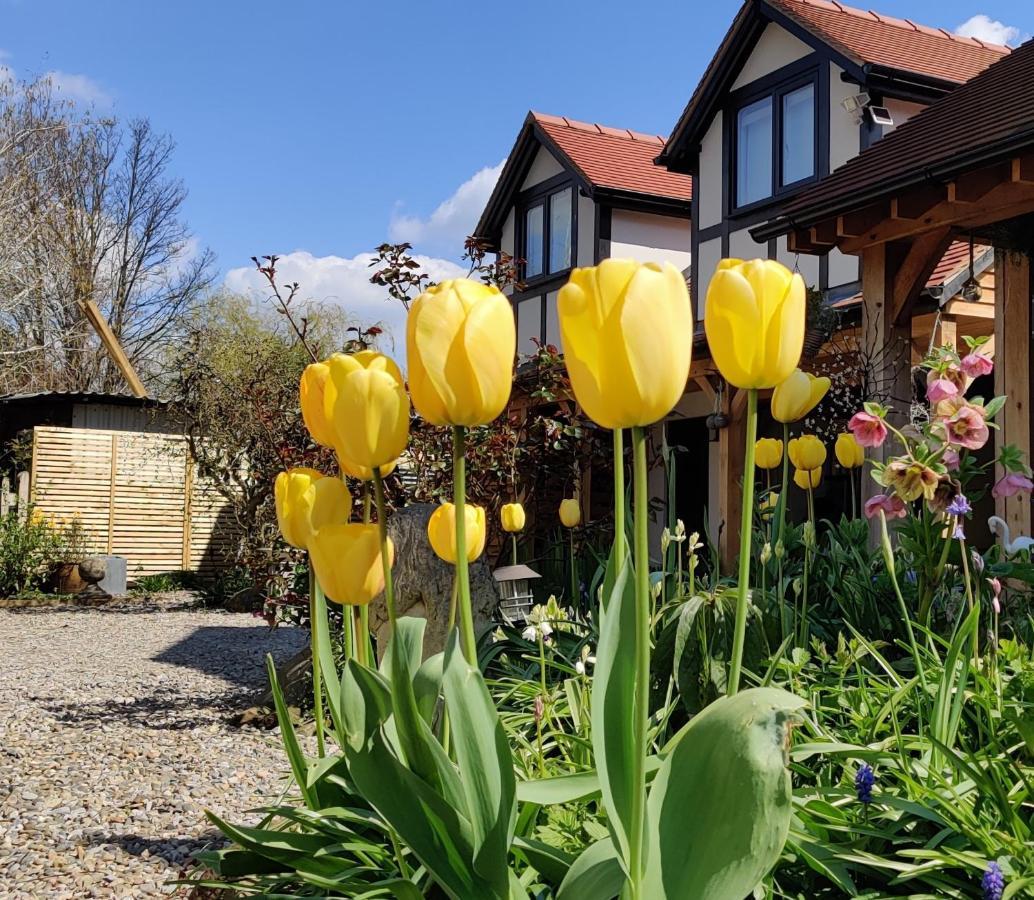 Delightful & Picturesque Modern Detached Apartment, Next To Chester Zoo, Near Park And Ride To City Centre Exterior photo